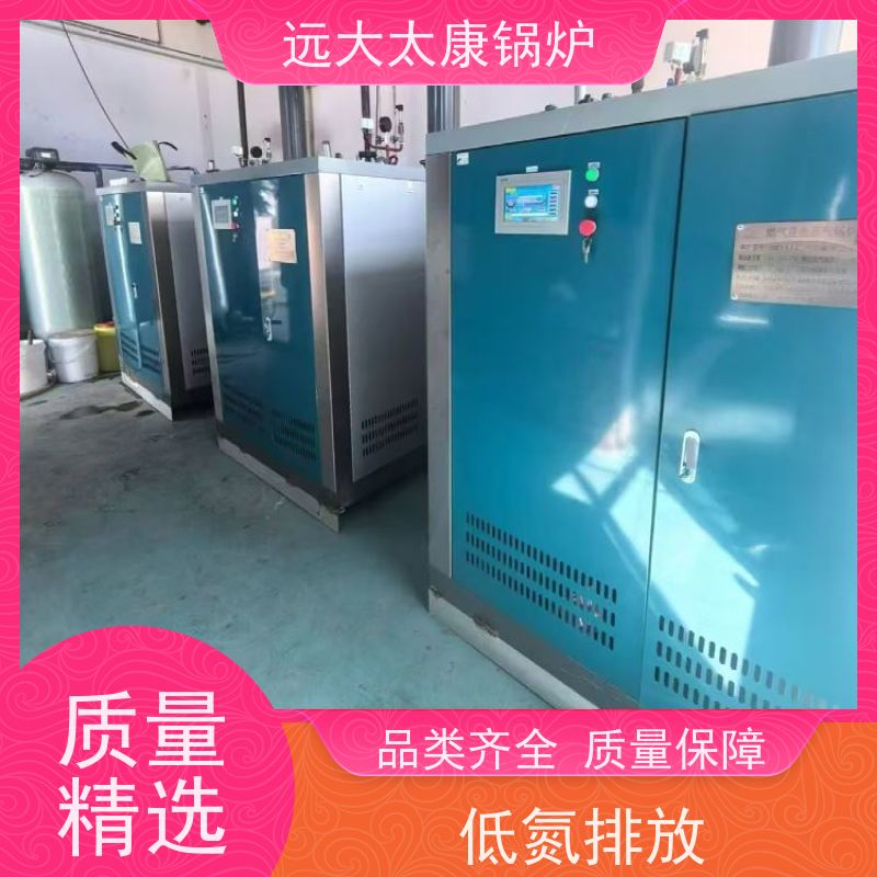 远大太康 工业级设备免上户 容水量<50L 食品加成 d级蒸汽发生器