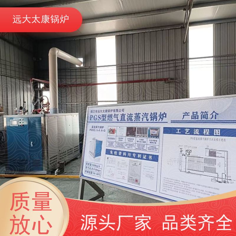 远大太康 食品加成 D级蒸汽发生器 工业级设备免上户 容水量<50L