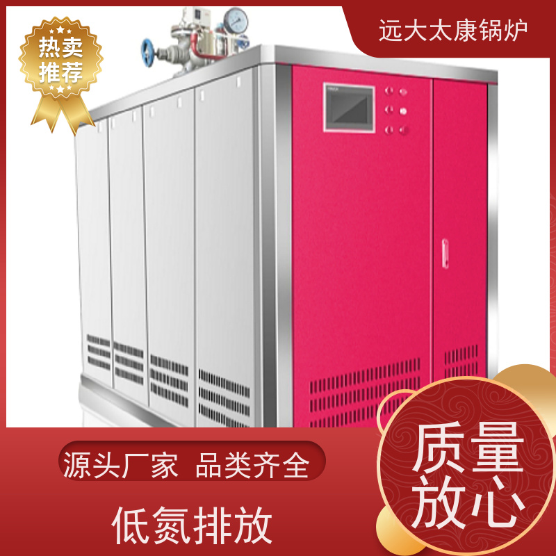远大太康 电镀化工专用D级蒸汽锅炉 工业级免上户设备