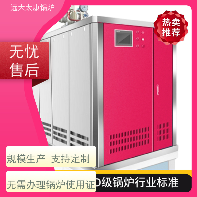 远大太康 电镀 化工 D级燃气蒸汽锅炉 4吨用户免报检