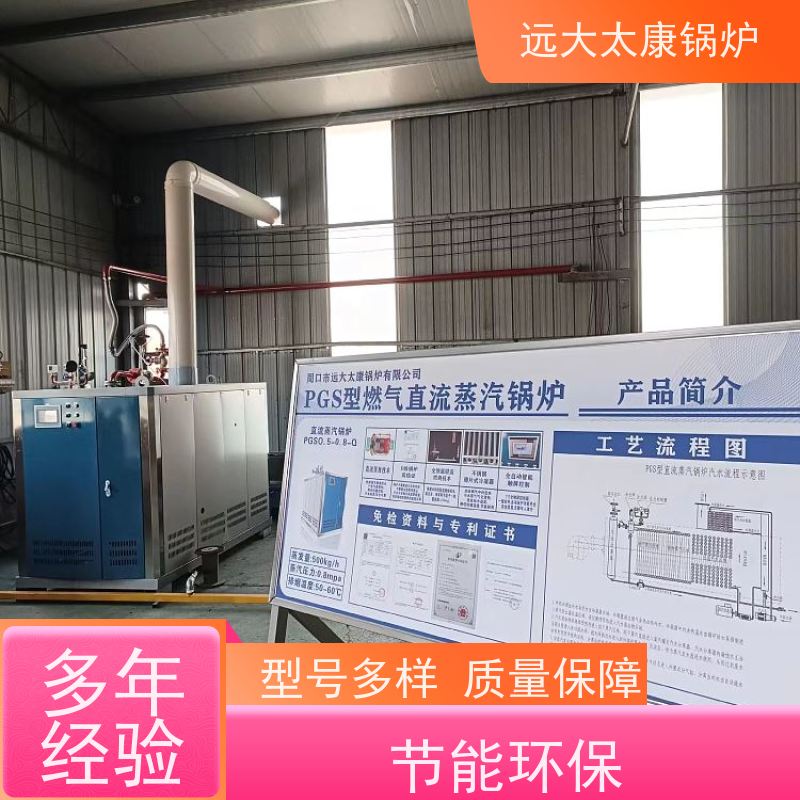 远大太康 电镀 化工 d级锅炉 工业级设备免上户 容水量<50L
