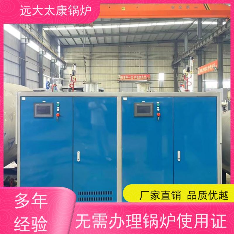 远大太康 4吨用户免报检 食品加成 D级蒸汽发生器