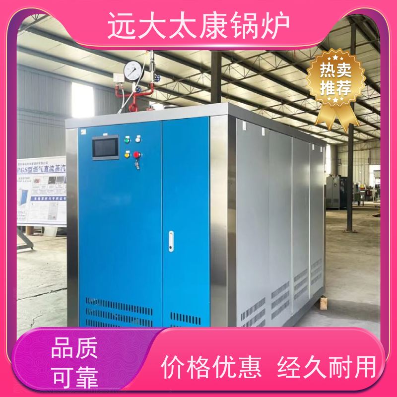 远大太康 电镀 化工 D级燃气蒸汽锅炉 工业级设备免上户 容水量<50L