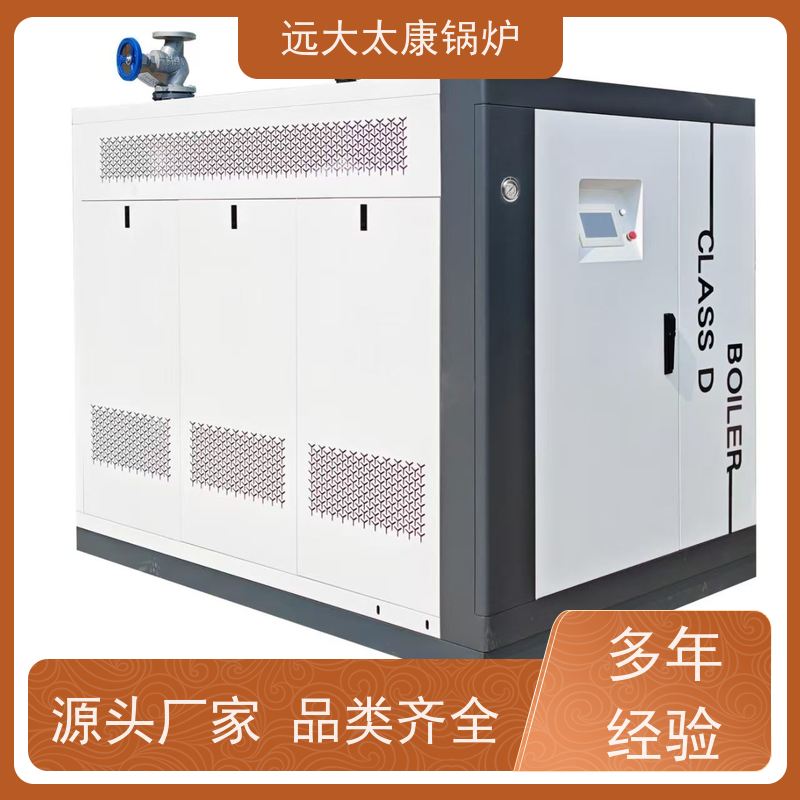 远大太康 低氮冷凝 热效率高达98% 豆制品加工 D级蒸汽发生器