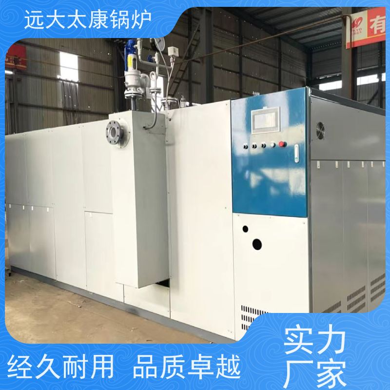 D级蒸汽发生器 3吨免报检 远大太康制造 经久耐用
