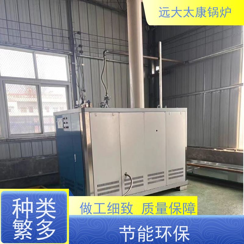 远大太康 0.5吨 用户免报检 食品加成 d级燃气蒸汽锅炉
