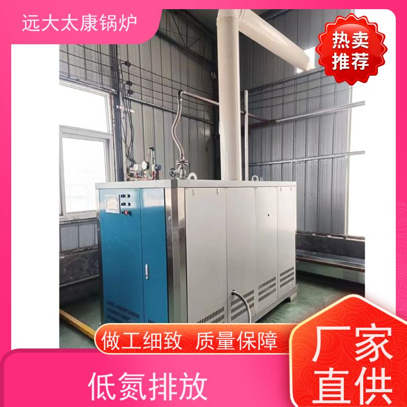 远大太康 工业级设备免上户 容水量<50L 食品加成 D级锅炉 
