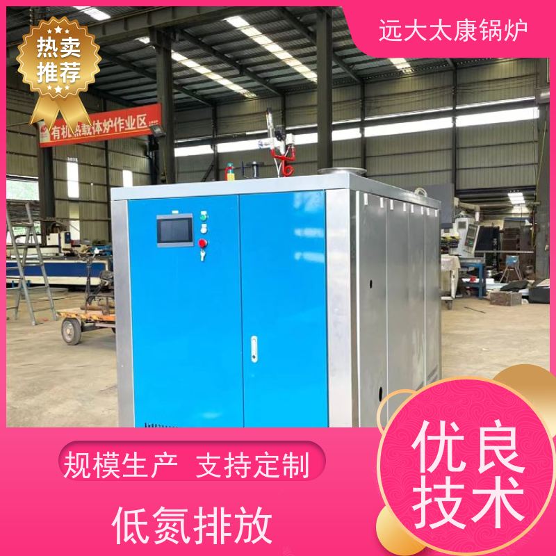 远大太康 1.5吨用户免报检 电镀化工D级燃气蒸汽锅炉