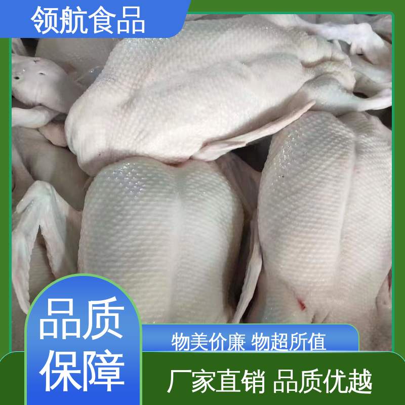 领航食品 家常做菜用 冰冻白条鸭 轻松做出美味佳肴 品质稳定
