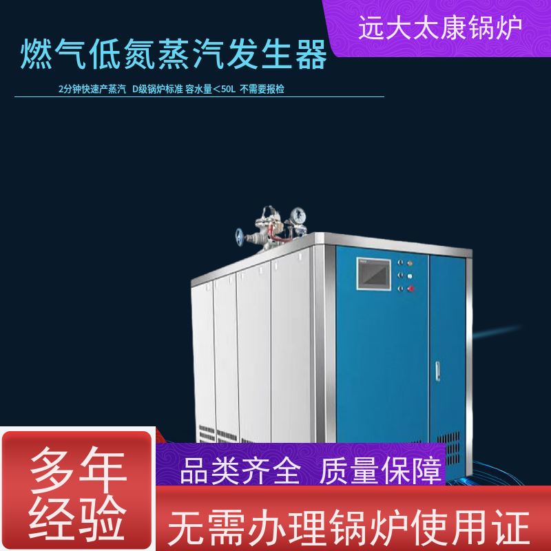 远大太康 豆制品加工 d级锅炉 产汽速度快 1-3分钟产蒸汽