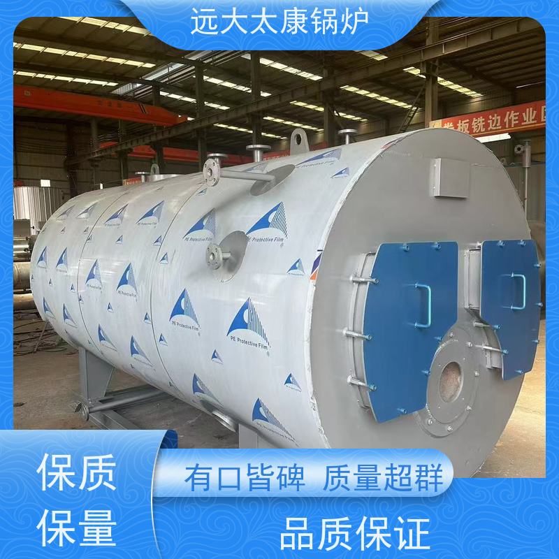 WNS3-1.25-YQ 生物质蒸汽锅炉 远大太康 源头工厂 高铁桥梁蒸养