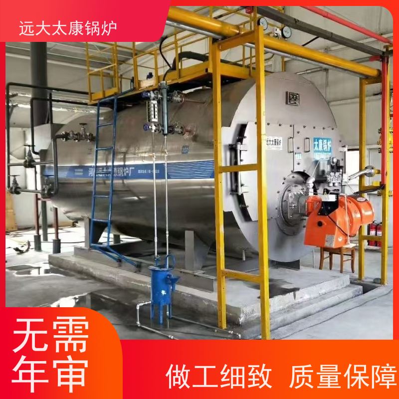 3吨 生物质蒸汽锅炉 远大太康 源头工厂 泡沫生产设备配套
