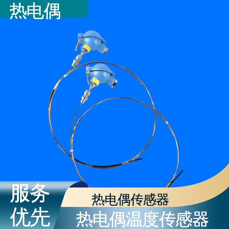 天康 WRNK2-391 热电偶型号 测温范围广 实力厂家 支持定制