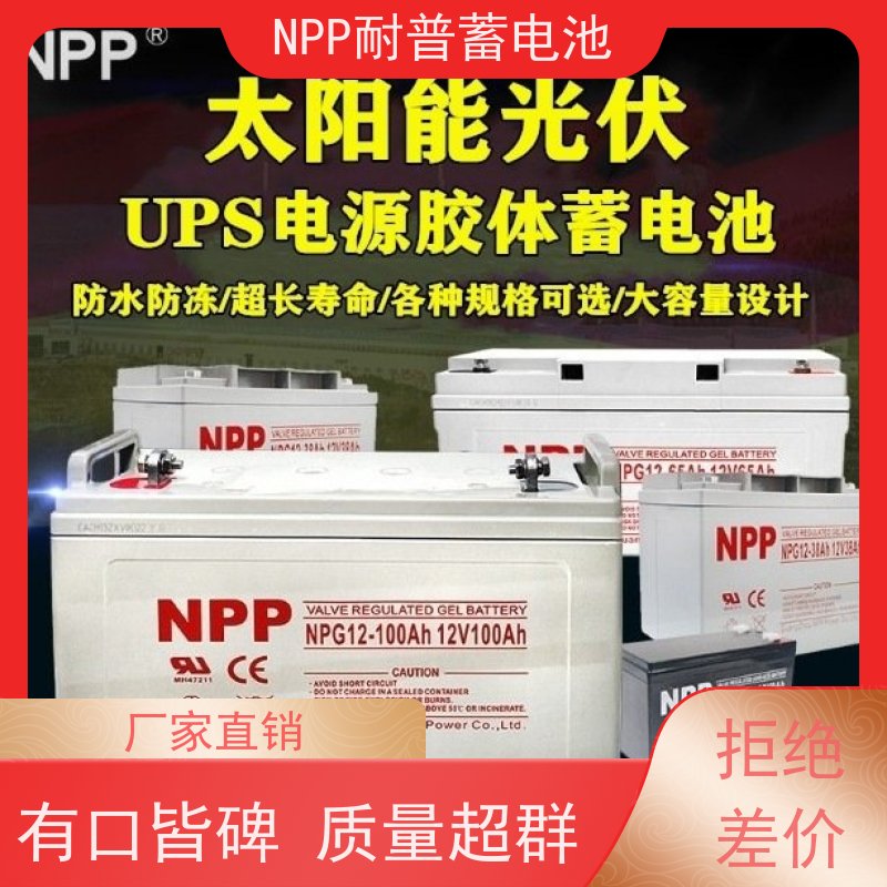 耐普电源 12V250AH 适用光伏通信消防 维修维保服务