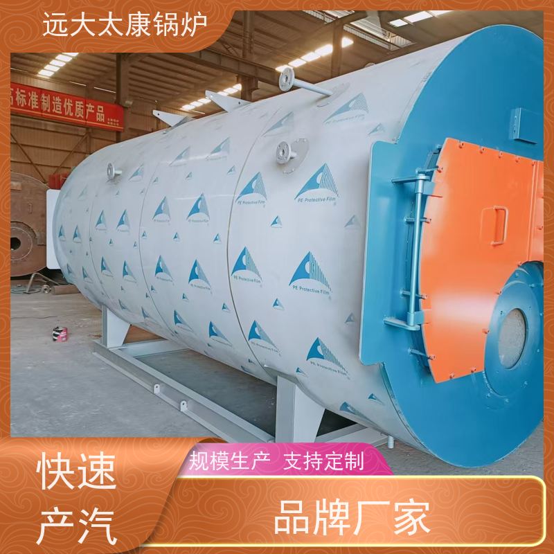 WNS3-1.25-YQ 远大太康 源头工厂 水泥制品养护 橡胶乳化 电蒸汽锅炉