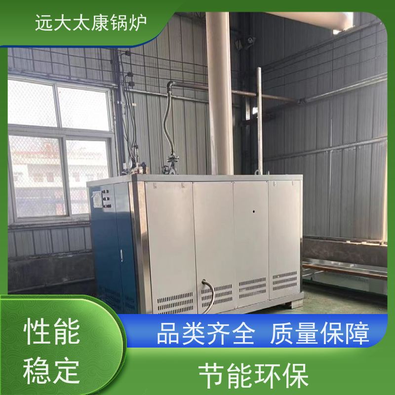 远大太康 D级蒸汽发生器 电镀 化工 工业级设备免上户 容水量<50L