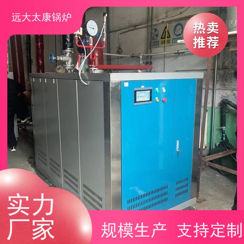 远大太康 电镀 化工 D级蒸汽锅炉 4吨用户免报检