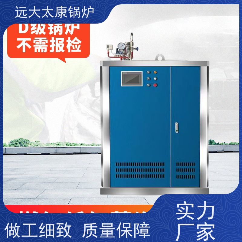 远大太康 食品加成 D级蒸汽锅炉 工业级设备免上户 容水量<50L