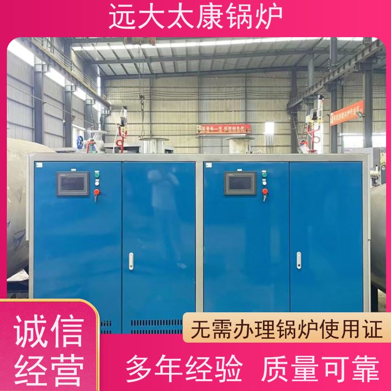 远大太康 3吨用户免报检 食品加成 D级蒸汽发生器
