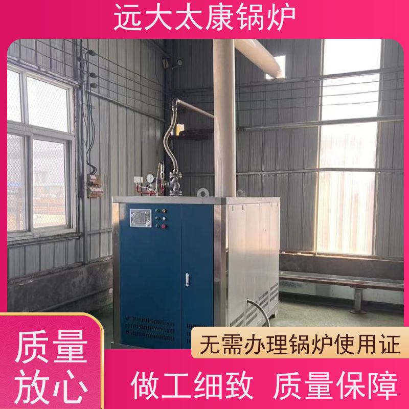 远大太康 4吨用户免报检 食品加成 D级蒸汽锅炉