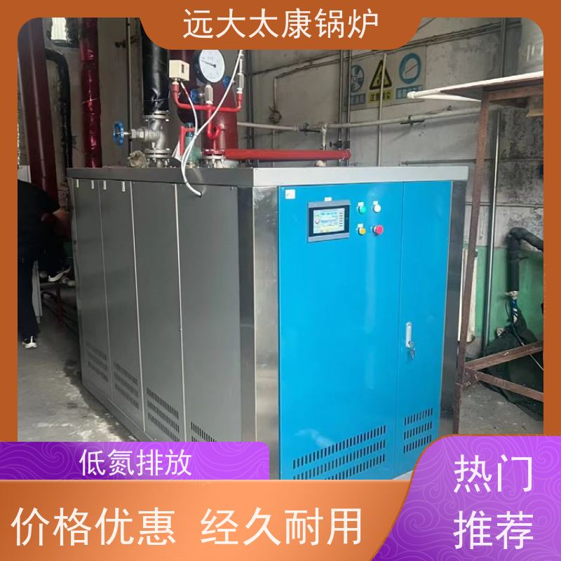 远大太康 低氮冷凝 热效率高达98% 食品加成 d级蒸汽发生器