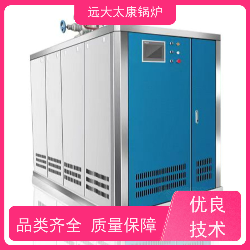 远大太康 5吨用户免报检 电镀 化工 D级燃气蒸汽锅炉