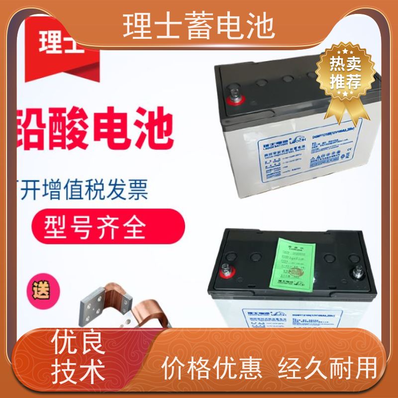 理士工厂 12V65AH 机房/直流屏ups电源专用储能 实力厂家