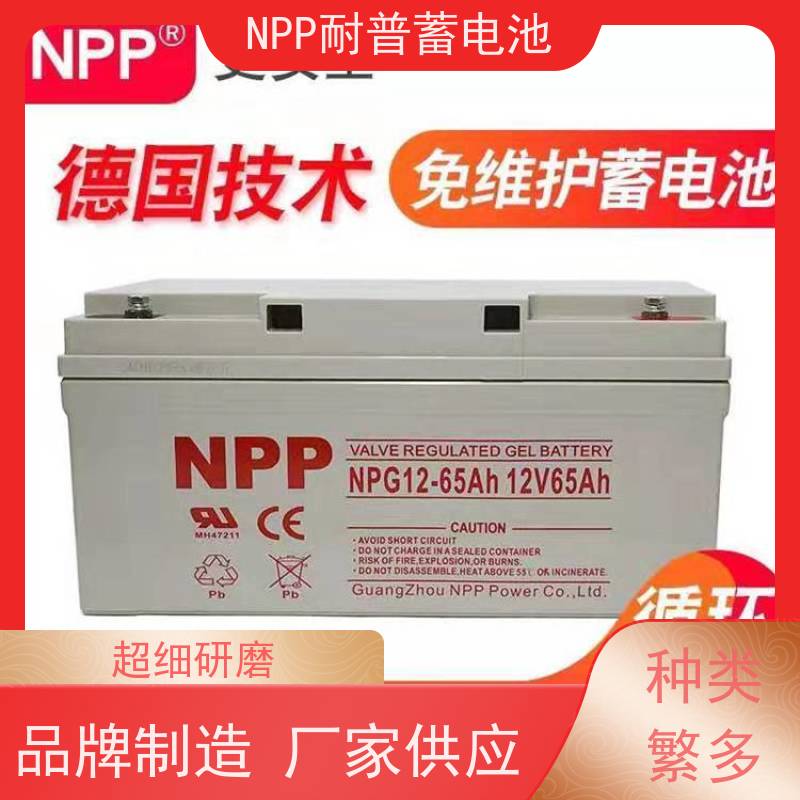 UPS电源电池 NPG12-65 适用光伏通信消防 质保三年