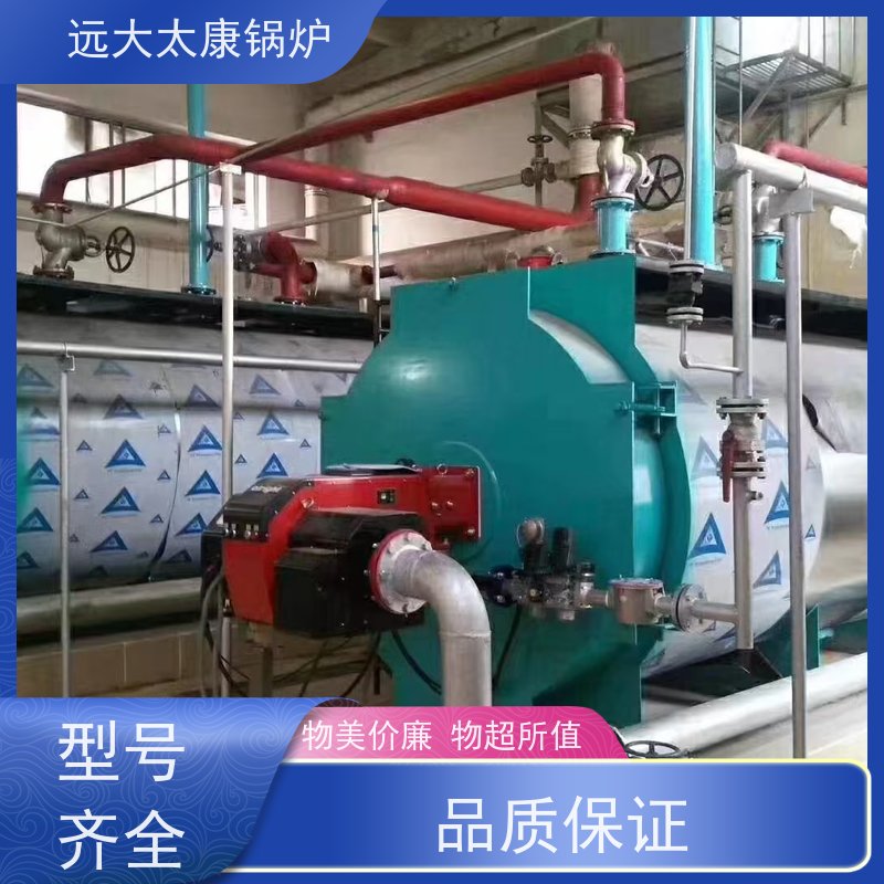 WNS3-1.25-YQ 生物质蒸汽锅炉 远大太康 源头工厂 高铁桥梁蒸养