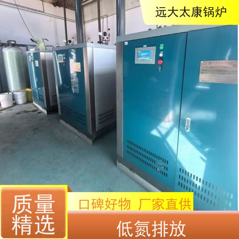 远大太康 食品加成 d级锅炉 低氮冷凝 热效率高达98% 