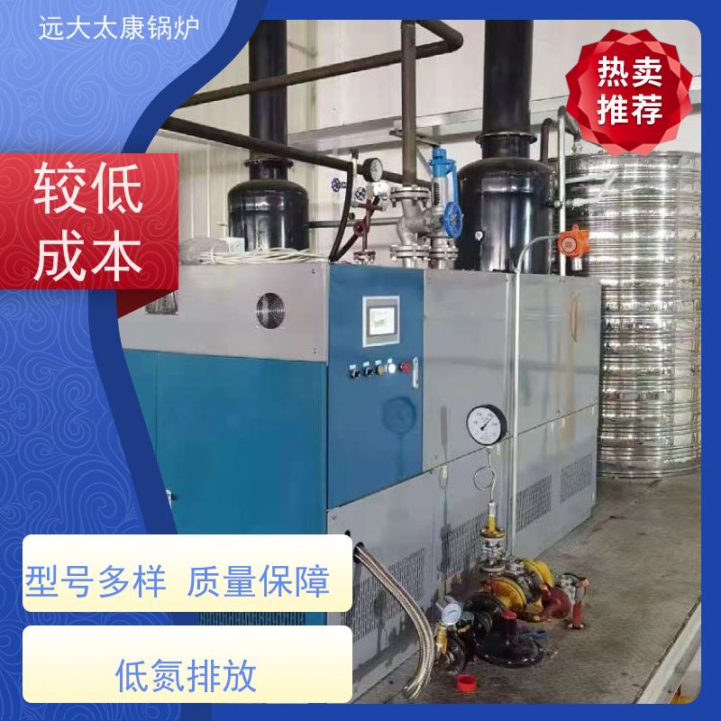 远大太康 电镀 化工 D级燃气蒸汽锅炉 3吨用户免报检