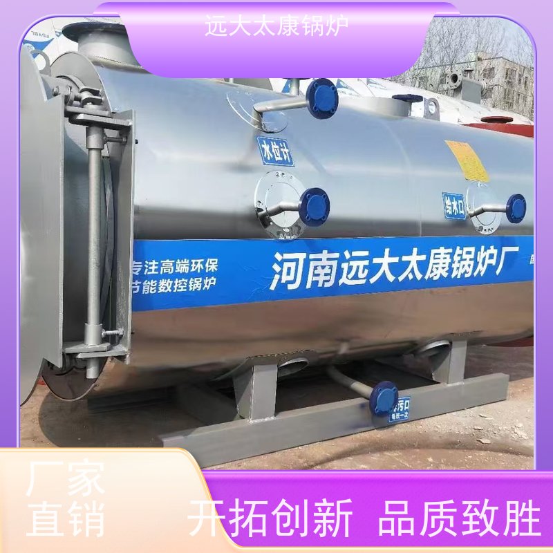 5吨 生物质蒸汽锅炉 远大太康 源头工厂 泡沫生产设备配套