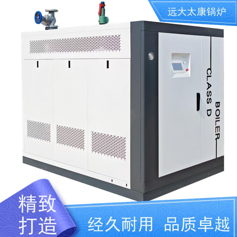 远大太康 食品加成 D级锅炉 工业级设备免上户 容水量小于50L