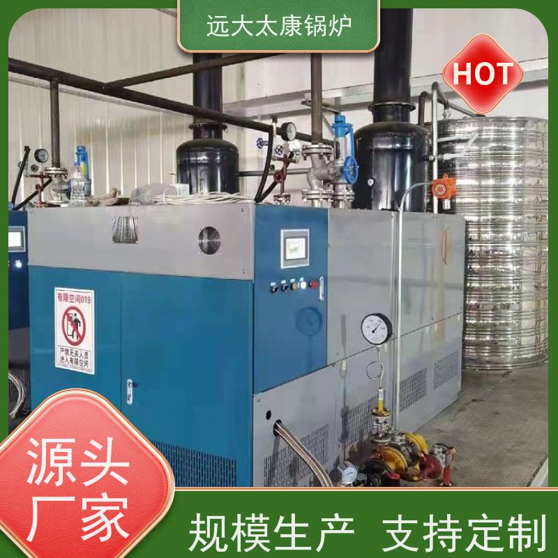 远大太康 低氮冷凝 热效率高达98% 豆制品加工 D级燃气蒸汽锅炉