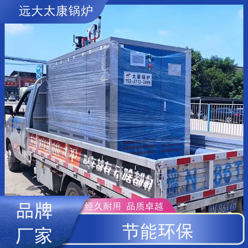 远大太康 低氮冷凝 热效率高达98% 电镀 化工 d级蒸汽发生器