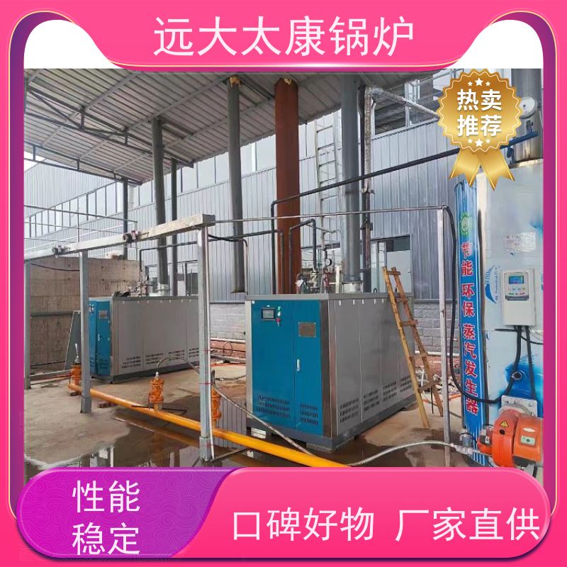 远大太康 4吨用户免报检 食品加成 D级燃气蒸汽锅炉