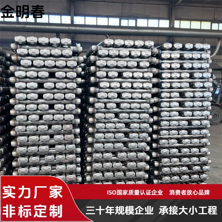金明春 厂家 QFGZ212钢制二柱型散热器 经济实用成本低 按需定制