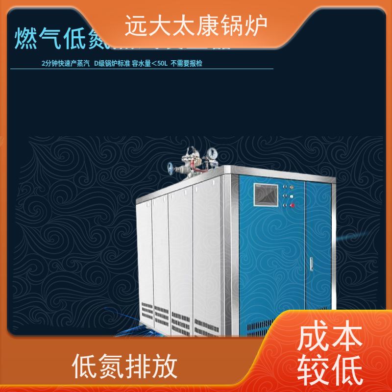 远大太康 低氮冷凝 热效率高达98% 夹层锅 杀菌罐 D级蒸汽锅炉