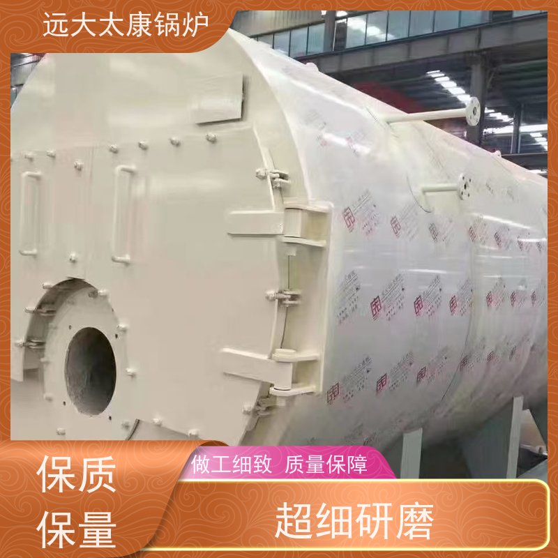 WNS10-1.25-YQ 电蒸汽锅炉 远大太康 源头工厂 豆制品 竹笋食品加工