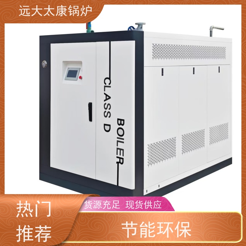 远大太康 0.5吨 用户免报检 电镀 化工 D级蒸汽发生器