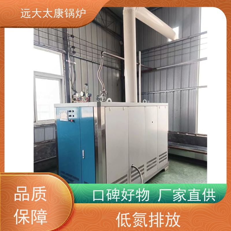 远大太康 豆制品加工 D级蒸汽发生器 工业级设备免上户 容水量＜50L