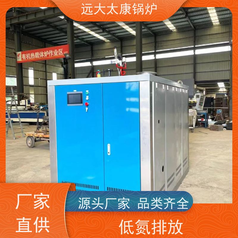 远大太康 D级锅炉 服装厂用蒸汽 低氮冷凝 热效率高达98% 