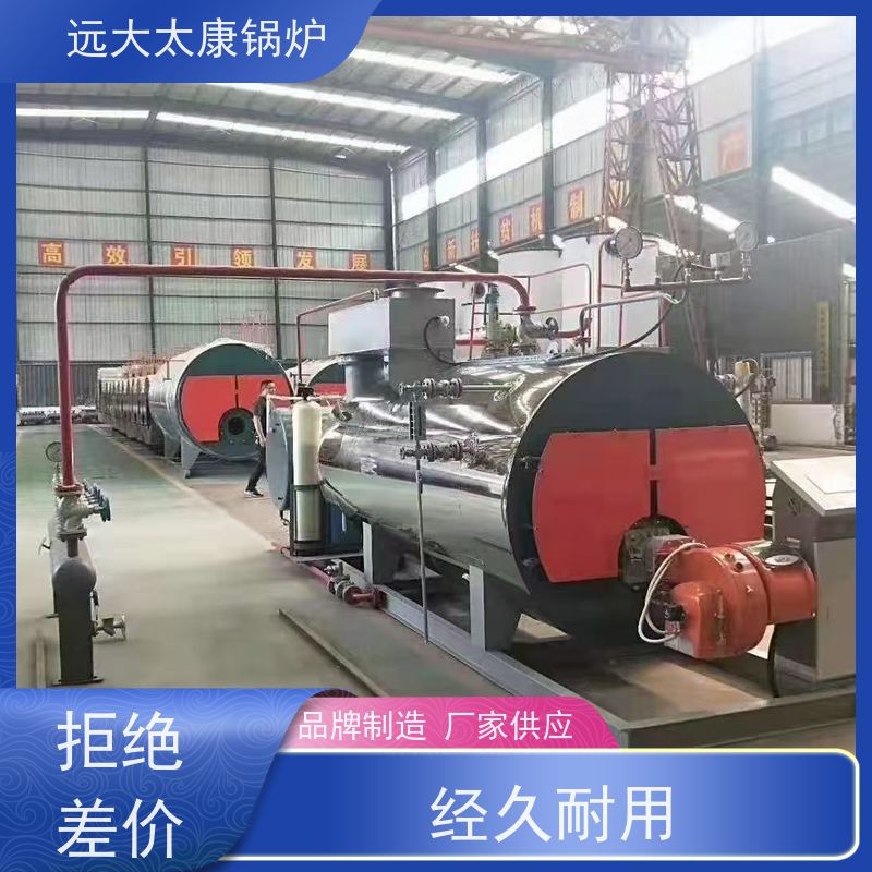 WNS10-1.25-YQ 远大太康 源头工厂 泡沫生产设备配套 电蒸汽锅炉