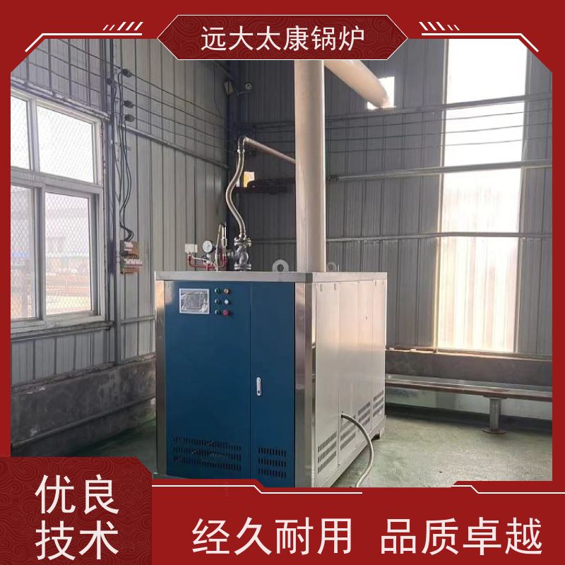 远大太康 工业级设备免上户 容水量＜50L 豆制品加工 D级蒸汽锅炉
