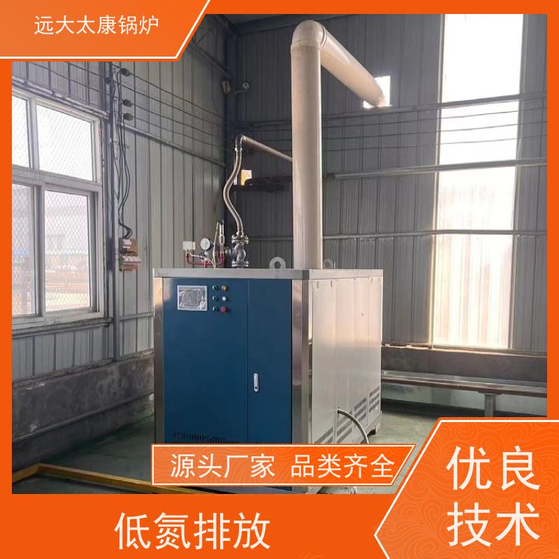 远大太康 电镀 化工 D级蒸汽发生器 3吨用户免报检