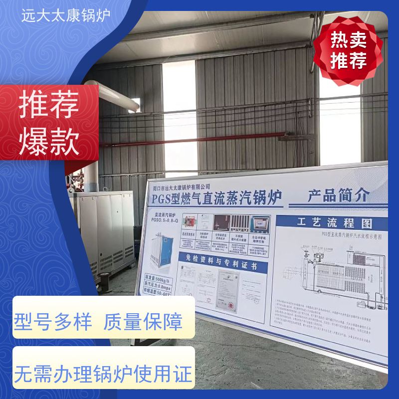 远大太康 4吨用户免报检 食品加成 D级蒸汽锅炉