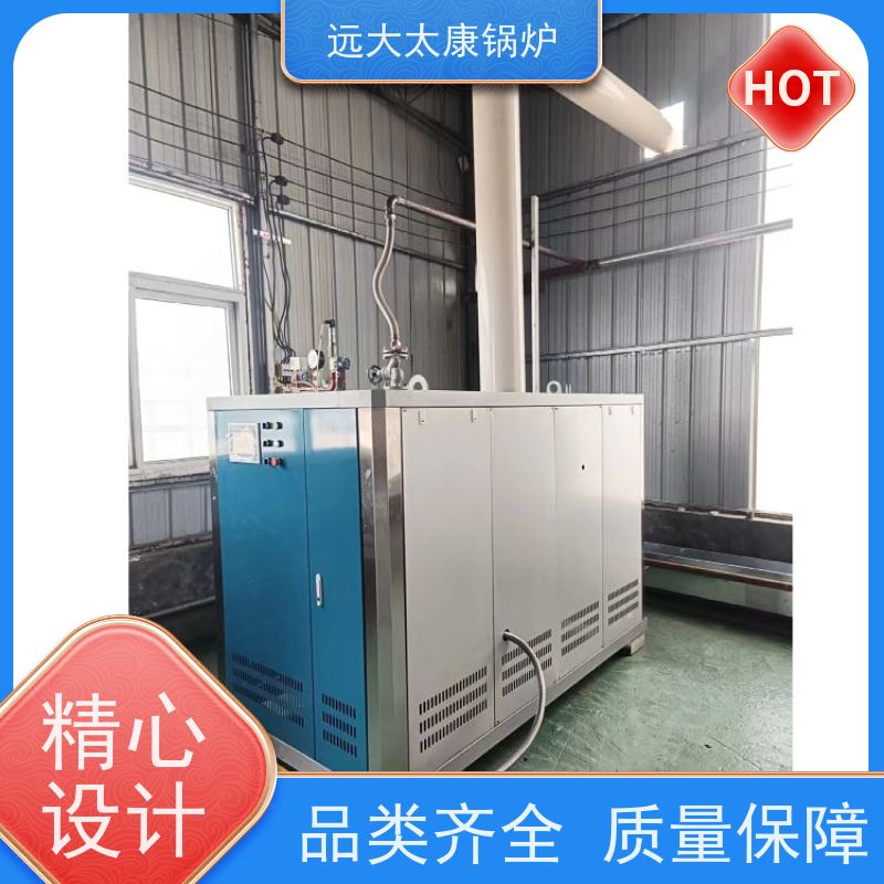 远大太康 5吨用户免报检 电镀 化工 D级蒸汽锅炉
