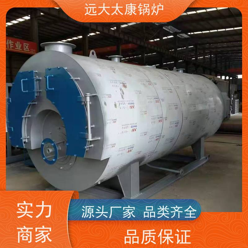 WNS0.5-1.0-YQ 生物质蒸汽锅炉 远大太康 源头工厂 高铁桥梁蒸养