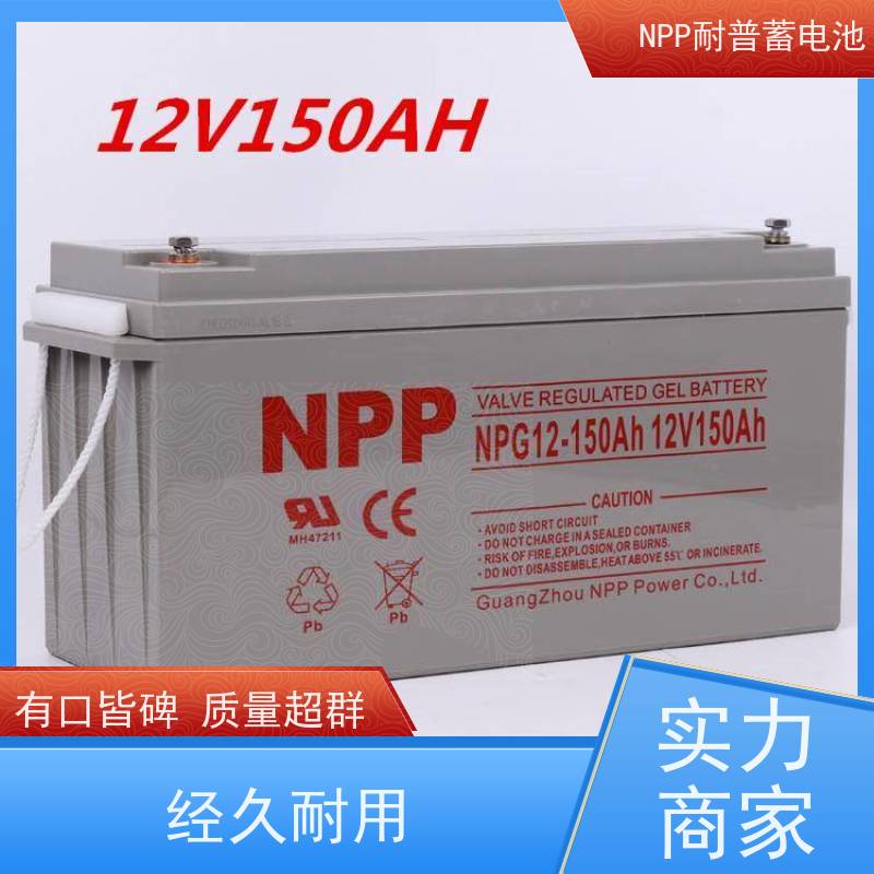 耐普电源 NPG12-65 适用机房储能蓄电 维修维保服务