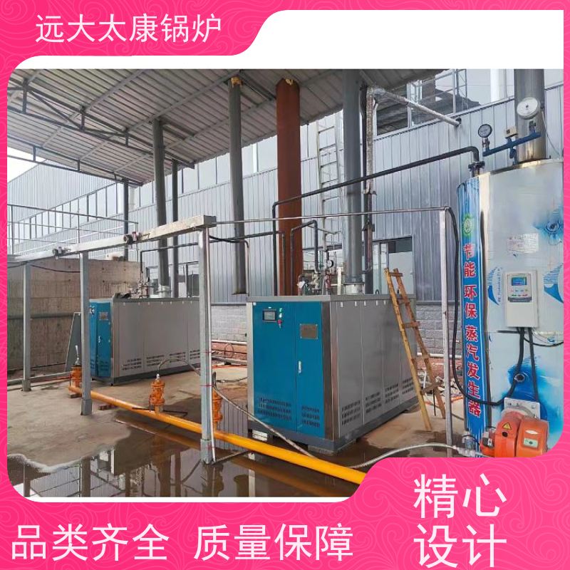 远大太康 豆制品加工 d级燃气蒸汽锅炉 1吨 用户免报检